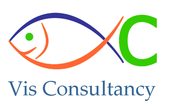 Logo Vis Consultancy
